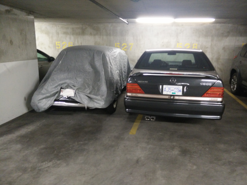 S600 AMG and what im gussing is a Beetle?